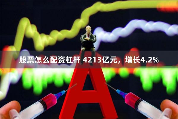 股票怎么配资杠杆 4213亿元，增长4.2%