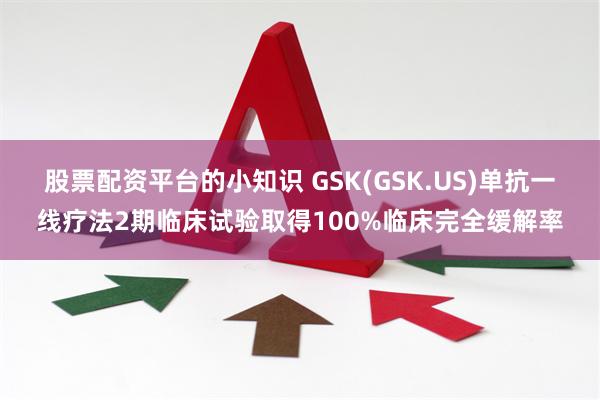 股票配资平台的小知识 GSK(GSK.US)单抗一线疗法2期临床试验取得100%临床完全缓解率