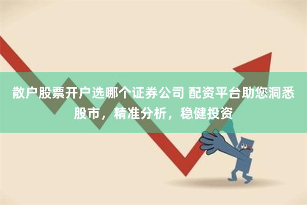 散户股票开户选哪个证券公司 配资平台助您洞悉股市，精准分析，稳健投资