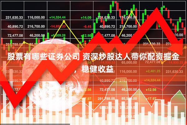股票有哪些证券公司 资深炒股达人带你配资掘金，稳健收益