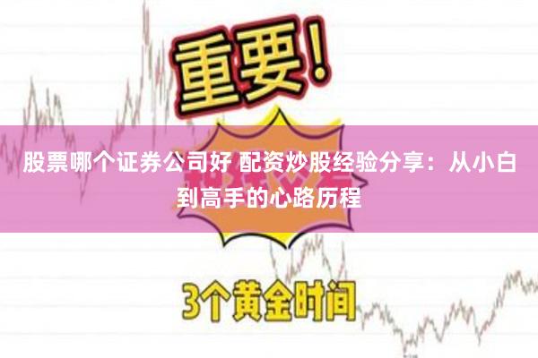 股票哪个证券公司好 配资炒股经验分享：从小白到高手的心路历程